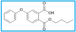ROX-4 REGIO ISOMER